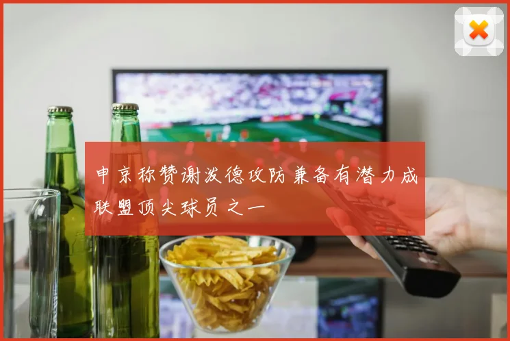 申京称赞谢泼德攻防兼备有潜力成联盟顶尖球员之一
