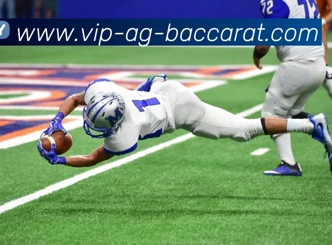 多媒体互动体验